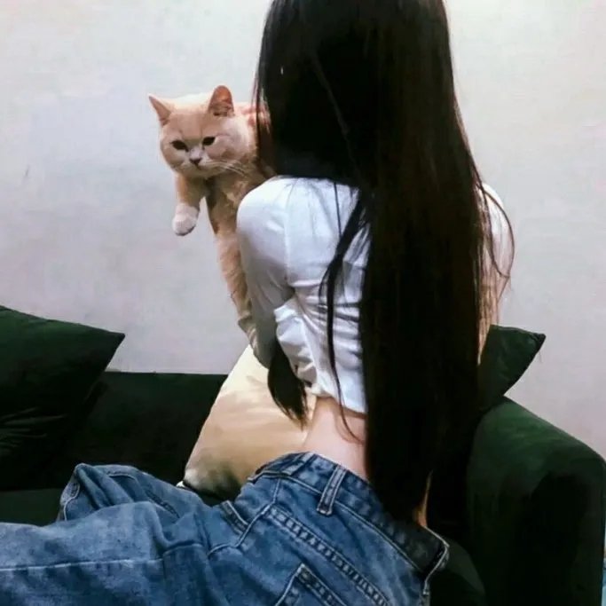 痞子殿下粤语